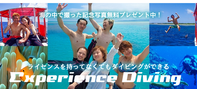 石垣島で体験ダイビング