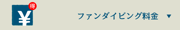 マンタファンダイビング