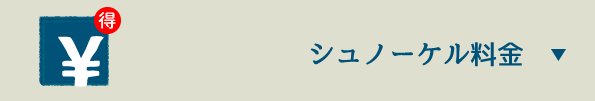 ボートシュノーケル