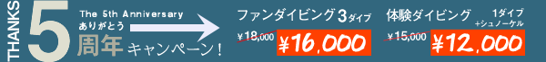 限定キャンペーン第4弾