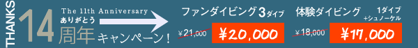 限定キャンペーン第4弾
