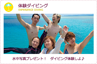 体験ダイビング
