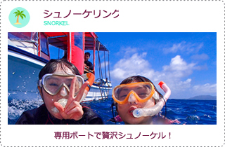 石垣島シュノーケリング