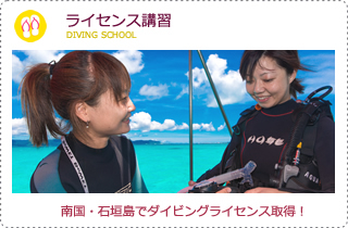 ライセンス講習