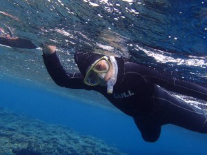 石垣島水中ガイド