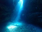 サンゴ産卵で透明度悪いから、黒島ポイントまで遠征！！