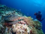 大物から、マクロまで多彩なポイントへ！！