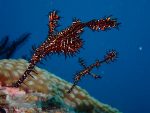 本日は、生物重視のポイントに、行ってきました！！