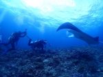 パナリ島遠征で、マンタヒットです！！