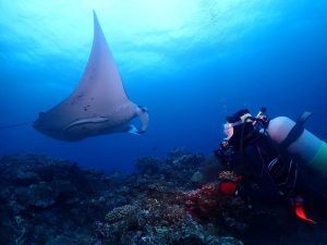 体験ダイビング