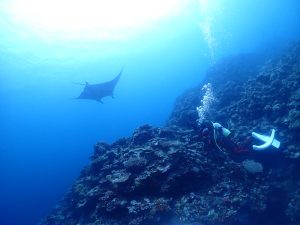 ファンダイビング