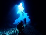 本日は、青い海を求めて、西表島ポイント遠征！！