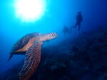海況良いから、黒島＆パナリ島まで遠征！！